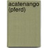 Acatenango (Pferd)