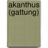 Akanthus (Gattung)