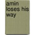 Amin Loses His Way