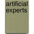 Artificial Experts