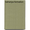 Bahariya-Formation door Jesse Russell