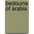 Bedouins of Arabia