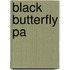 Black Butterfly Pa