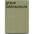 Graue Labkrauteule