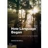How Language Began door David McNeill