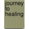 Journey to Healing door Demetria Rupkey