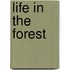 Life in the Forest