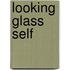 Looking Glass Self