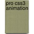 Pro Css3 Animation