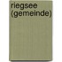 Riegsee (Gemeinde)