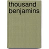 Thousand Benjamins by Michael Kun