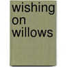 Wishing on Willows door Katie Ganshert