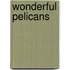 Wonderful Pelicans