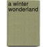 A Winter Wonderland