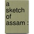 A sketch of Assam :