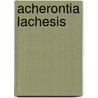 Acherontia lachesis by Jesse Russell