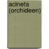 Acineta (Orchideen)
