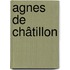 Agnes de Châtillon