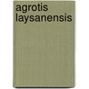 Agrotis laysanensis by Jesse Russell