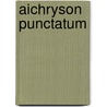 Aichryson punctatum by Jesse Russell