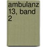 Ambulanz 13, Band 2