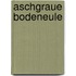 Aschgraue Bodeneule