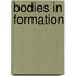 Bodies in Formation