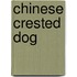 Chinese Crested Dog
