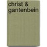 Christ & Gantenbein