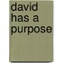 David Has a Purpose