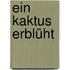 Ein Kaktus erblüht