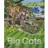 Explorers: Big Cats