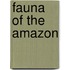 Fauna of the Amazon