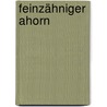 Feinzähniger Ahorn by Jesse Russell
