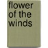 Flower of the Winds