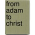From Adam to Christ