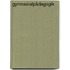Gymnasialpädagogik