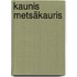Kaunis metsäkauris