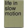 Life in Slow Motion door Age Of Echoes