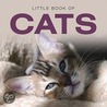 Little Book Of Cats door Jon Stroud