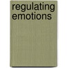 Regulating Emotions door Lea Kliem