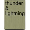 Thunder & Lightning door Nathaniel Bradstreet Shurtleff