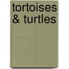 Tortoises & Turtles by Graham Meadows