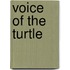 Voice Of The Turtle