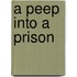 A Peep Into a Prison