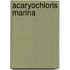 Acaryochloris marina