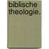 Biblische Theologie.