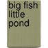 Big Fish Little Pond