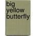 Big Yellow Butterfly