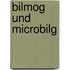 BilMoG und MicroBilG